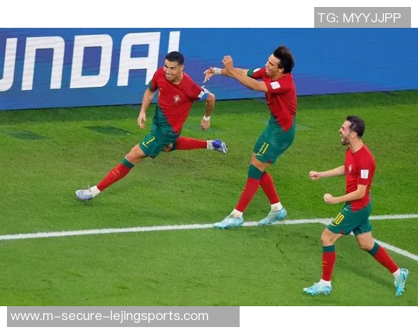 葡萄牙与新西兰精彩对决集锦回顾球迷不容错过的精彩瞬间